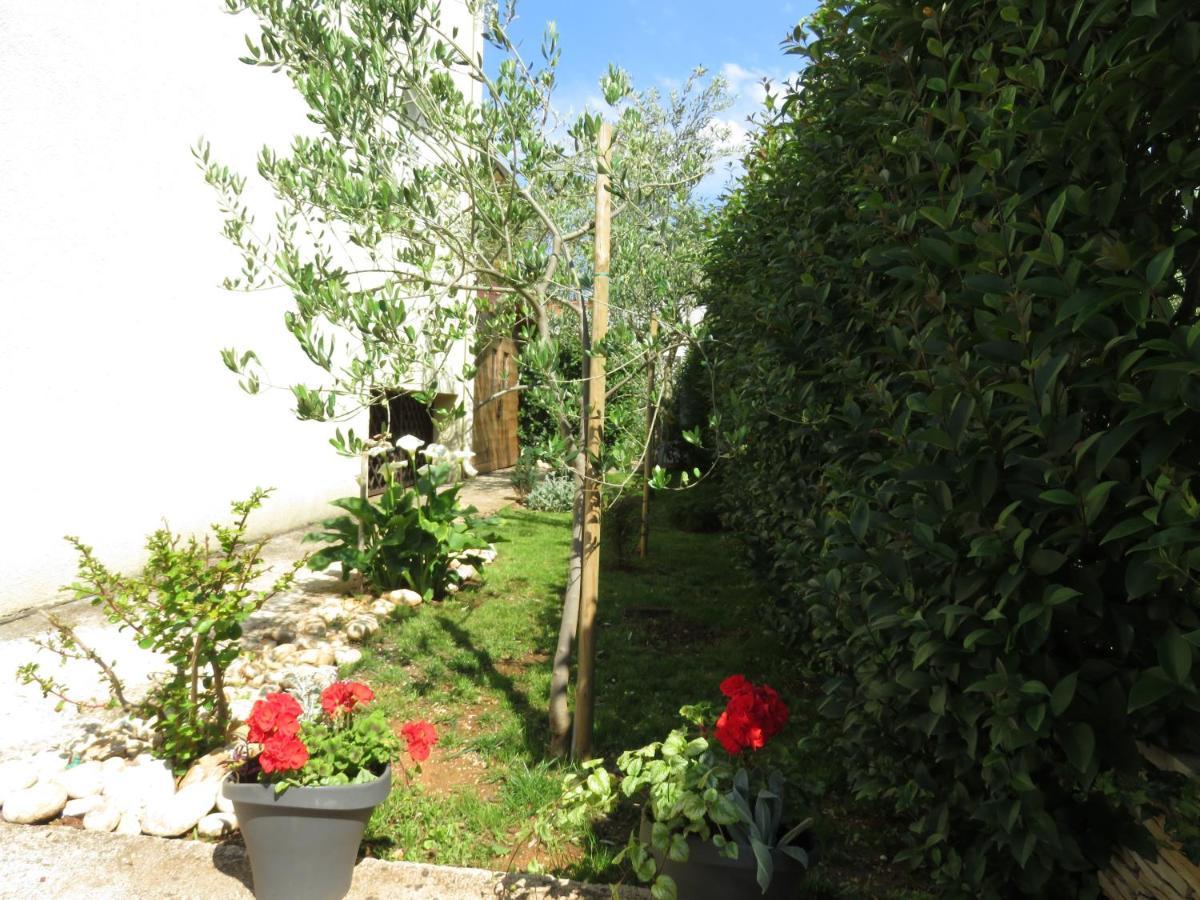 Angie Apartament Zadar