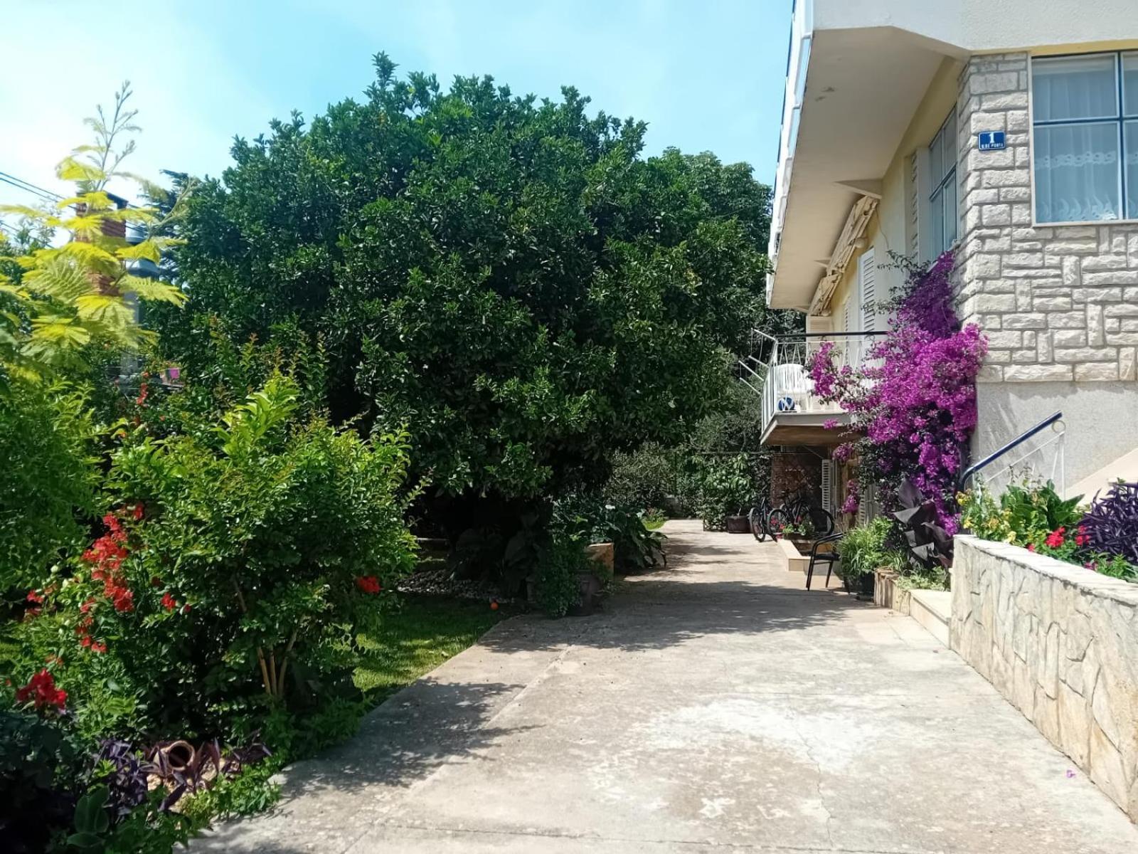 Apartament Angie *