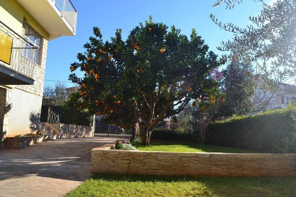Angie Apartman Zadar